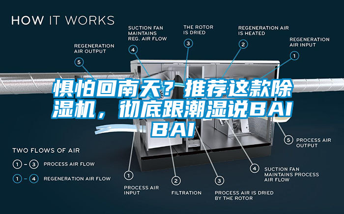 懼怕回南天？推薦這款除濕機(jī)，徹底跟潮濕說BAIBAI