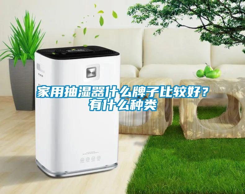 家用抽濕器什么牌子比較好？有什么種類