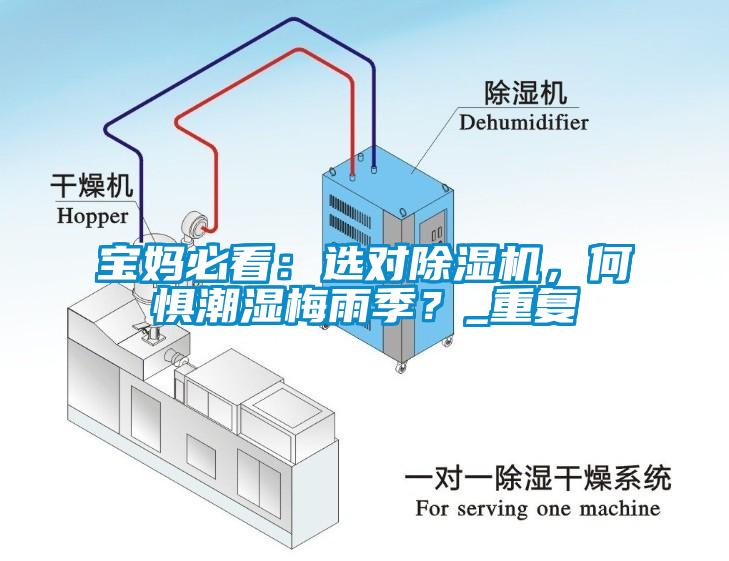 寶媽必看：選對除濕機，何懼潮濕梅雨季？_重復