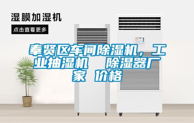 奉賢區(qū)車間除濕機，工業(yè)抽濕機  除濕器廠家 價格