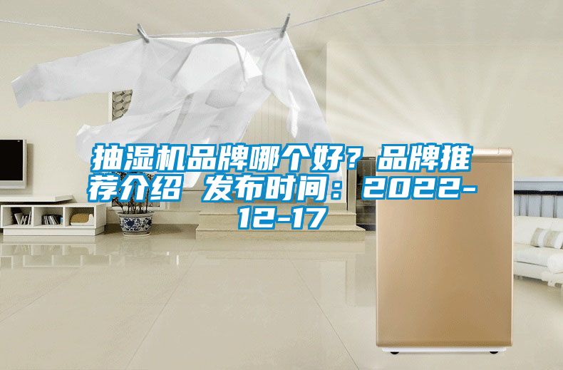 抽濕機(jī)品牌哪個好？品牌推薦介紹 發(fā)布時間：2022-12-17