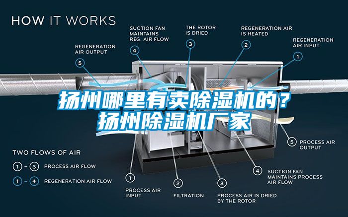 揚(yáng)州哪里有賣除濕機(jī)的？揚(yáng)州除濕機(jī)廠家