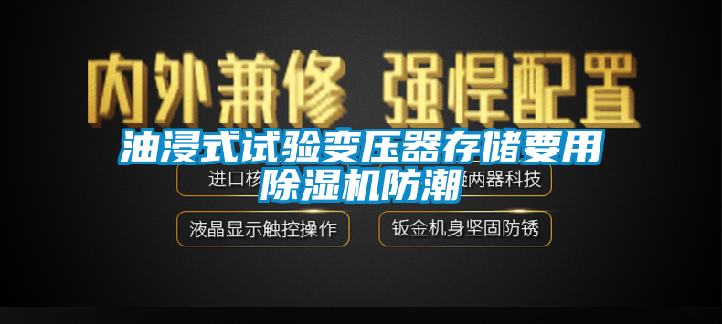 油浸式試驗變壓器存儲要用除濕機(jī)防潮