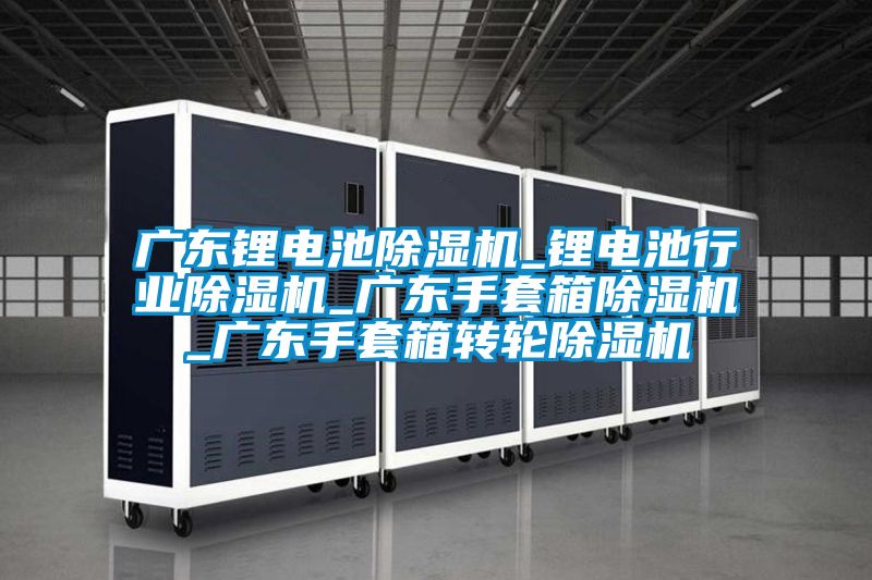 廣東鋰電池除濕機_鋰電池行業(yè)除濕機_廣東手套箱除濕機_廣東手套箱轉(zhuǎn)輪除濕機