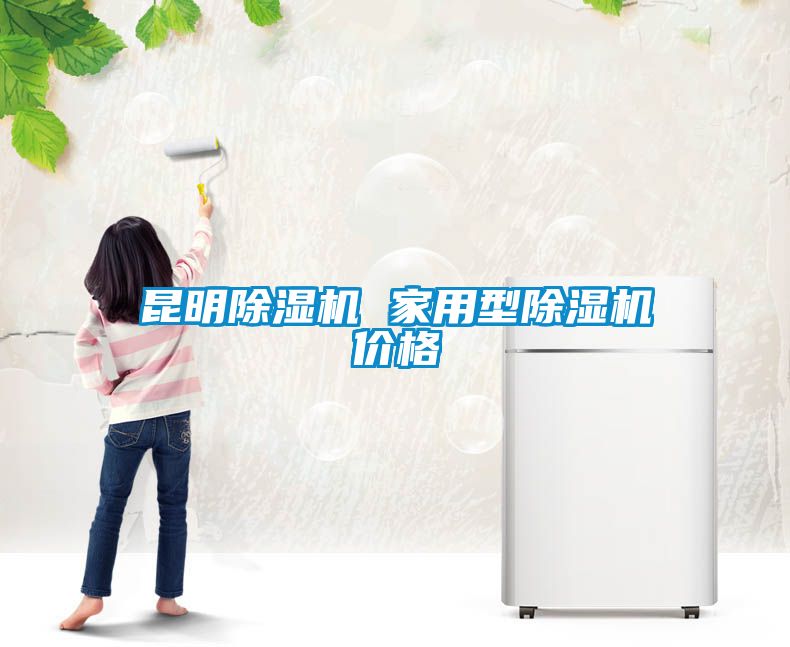 昆明除濕機 家用型除濕機價格