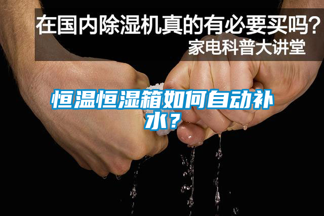 恒溫恒濕箱如何自動補(bǔ)水？