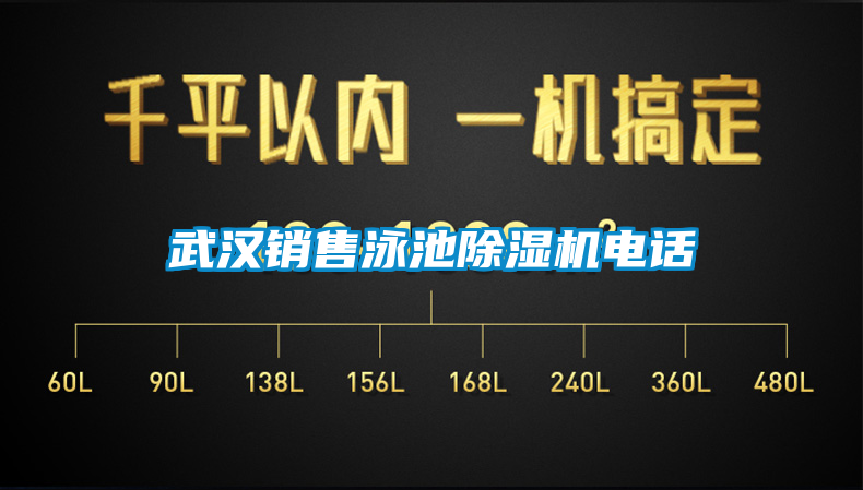 武漢銷售泳池除濕機電話