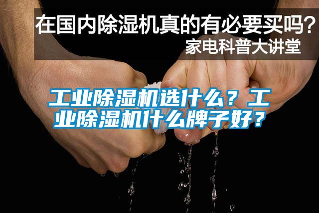 工業(yè)除濕機選什么？工業(yè)除濕機什么牌子好？