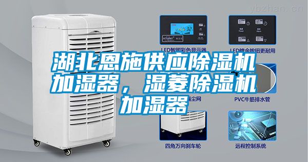 湖北恩施供應(yīng)除濕機(jī)加濕器，濕菱除濕機(jī)加濕器