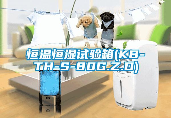 恒溫恒濕試驗(yàn)箱(KB-TH-S-80G.Z.D)