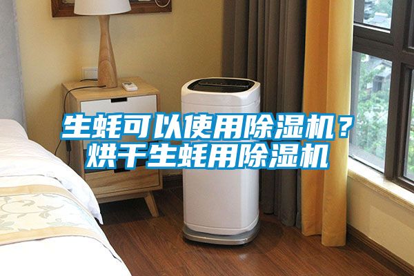 生蠔可以使用除濕機？烘干生蠔用除濕機