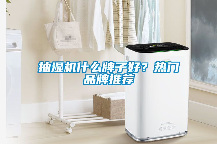 抽濕機(jī)什么牌子好？熱門品牌推薦