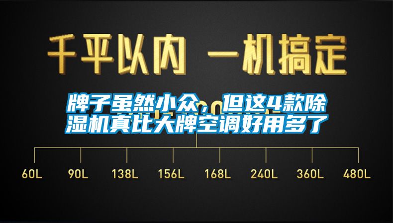 牌子雖然小眾，但這4款除濕機真比大牌空調(diào)好用多了