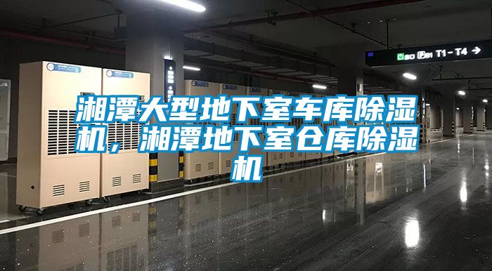 湘潭大型地下室車庫除濕機，湘潭地下室倉庫除濕機