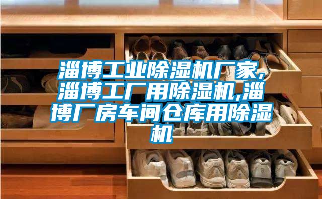 淄博工業(yè)除濕機廠家,淄博工廠用除濕機,淄博廠房車間倉庫用除濕機