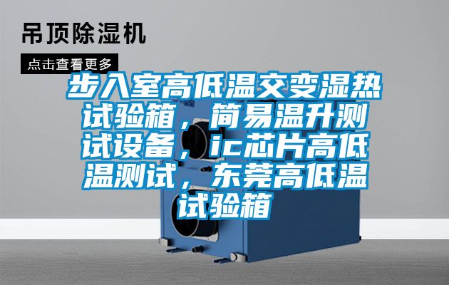 步入室高低溫交變濕熱試驗箱，簡易溫升測試設(shè)備，ic芯片高低溫測試，東莞高低溫試驗箱