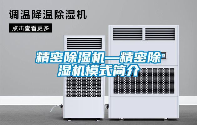 精密除濕機(jī)—精密除濕機(jī)模式簡(jiǎn)介