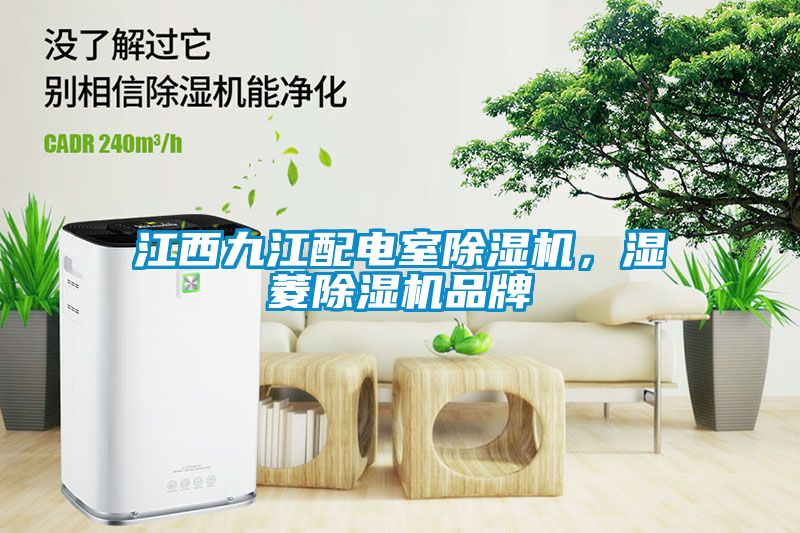 江西九江配電室除濕機(jī)，濕菱除濕機(jī)品牌