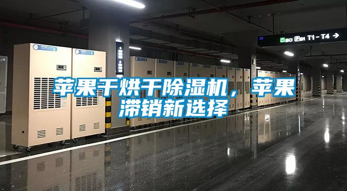 蘋果干烘干除濕機，蘋果滯銷新選擇