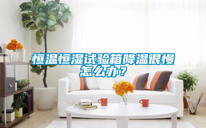 恒溫恒濕試驗(yàn)箱降溫很慢怎么辦？