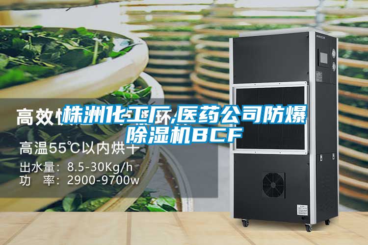 株洲化工廠,醫(yī)藥公司防爆除濕機(jī)BCF