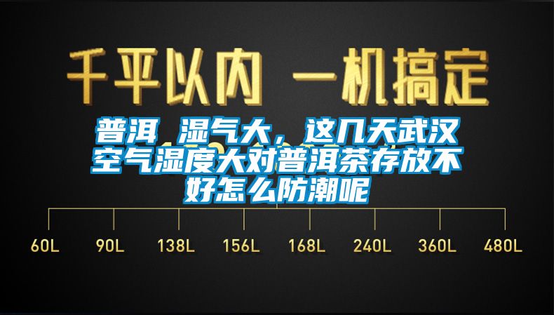 普洱 濕氣大，這幾天武漢空氣濕度大對普洱茶存放不好怎么防潮呢