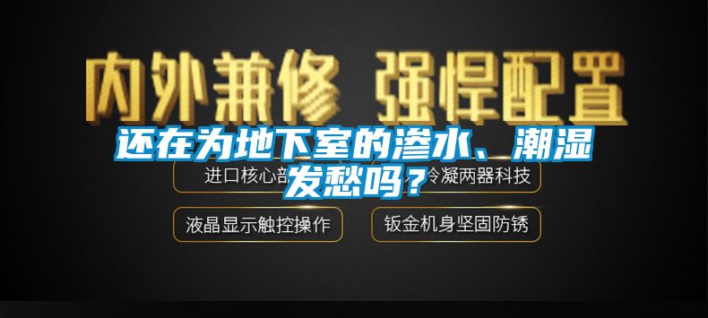 還在為地下室的滲水、潮濕發(fā)愁嗎？