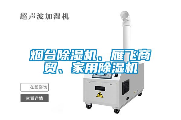 煙臺(tái)除濕機(jī)、雁飛商貿(mào)、家用除濕機(jī)