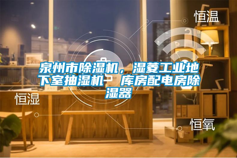 泉州市除濕機，濕菱工業(yè)地下室抽濕機  庫房配電房除濕器