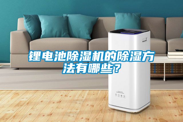 鋰電池除濕機(jī)的除濕方法有哪些？