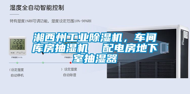 湘西州工業(yè)除濕機，車間庫房抽濕機  配電房地下室抽濕器