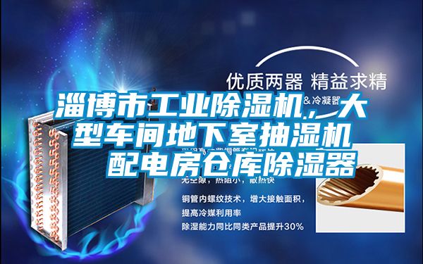 淄博市工業(yè)除濕機，大型車間地下室抽濕機  配電房倉庫除濕器