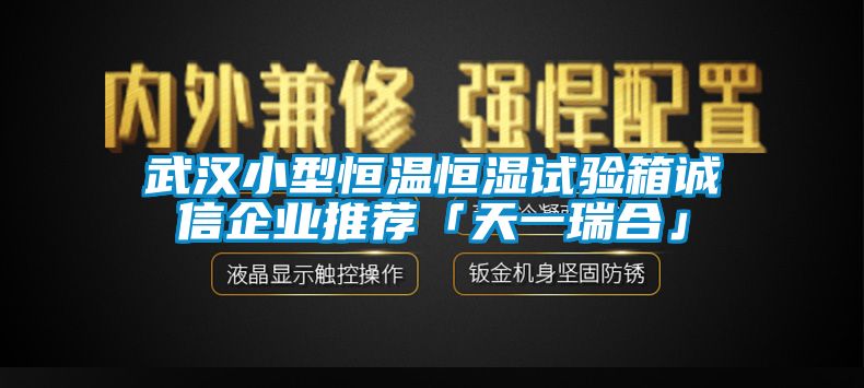 武漢小型恒溫恒濕試驗(yàn)箱誠(chéng)信企業(yè)推薦「天一瑞合」