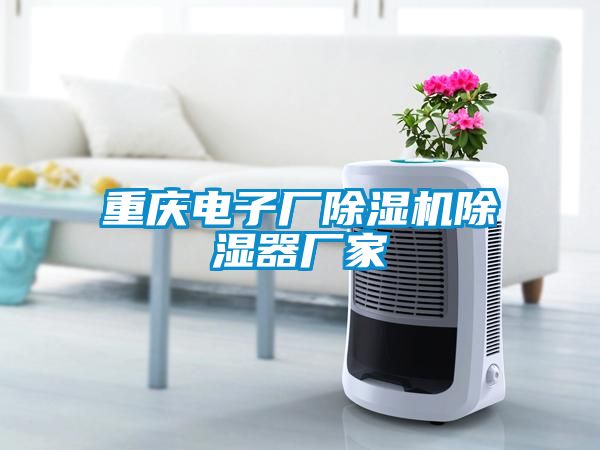 重慶電子廠除濕機除濕器廠家