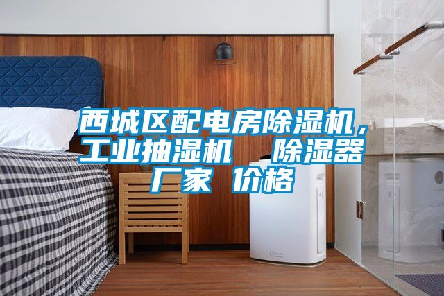 西城區(qū)配電房除濕機，工業(yè)抽濕機  除濕器廠家 價格