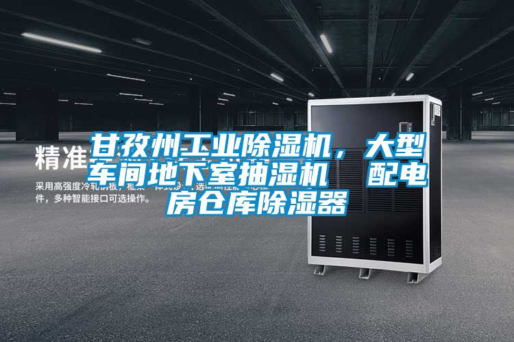 甘孜州工業(yè)除濕機，大型車間地下室抽濕機  配電房倉庫除濕器