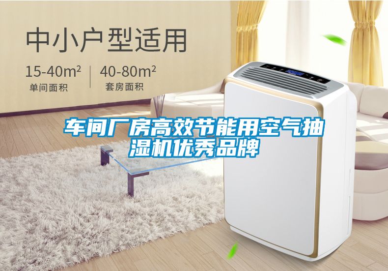 車間廠房高效節(jié)能用空氣抽濕機(jī)優(yōu)秀品牌