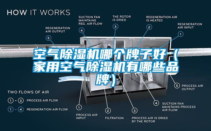 空氣除濕機(jī)哪個(gè)牌子好（家用空氣除濕機(jī)有哪些品牌）