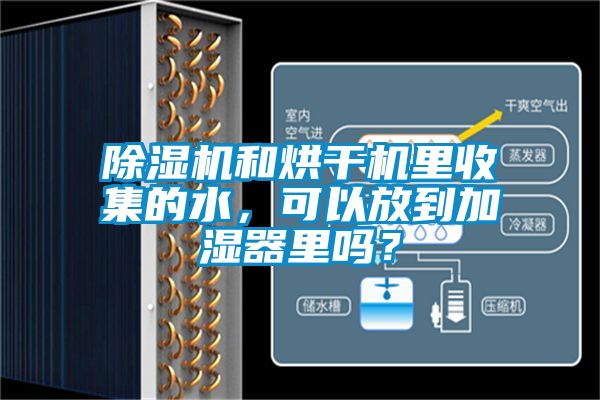 除濕機和烘干機里收集的水，可以放到加濕器里嗎？