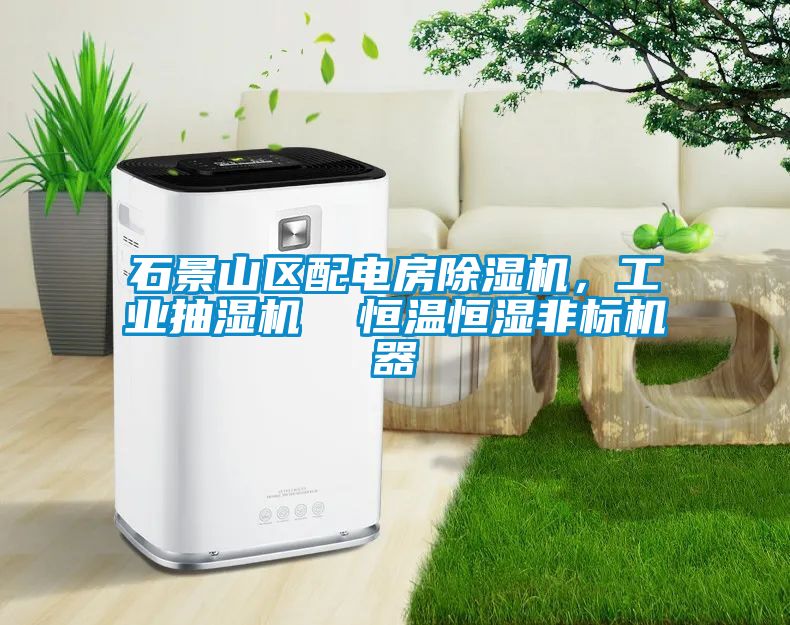 石景山區(qū)配電房除濕機，工業(yè)抽濕機  恒溫恒濕非標機器