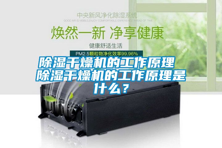 除濕干燥機(jī)的工作原理 除濕干燥機(jī)的工作原理是什么？