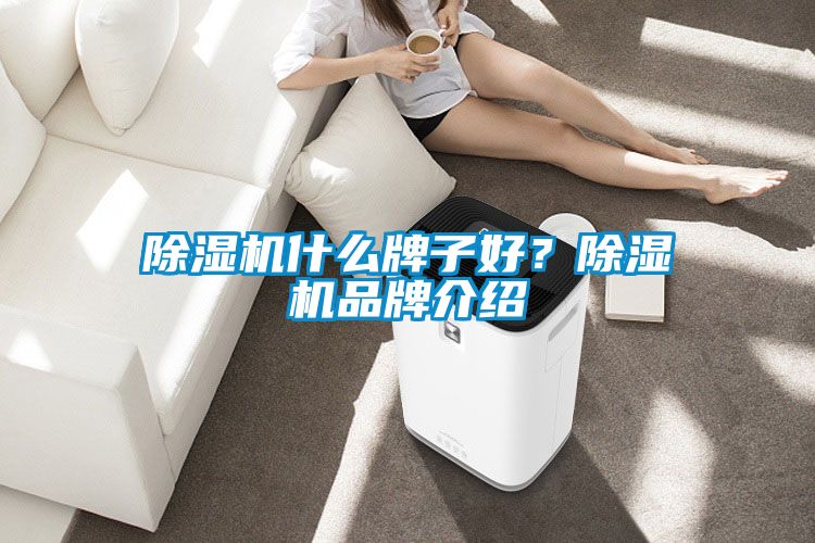 除濕機什么牌子好？除濕機品牌介紹