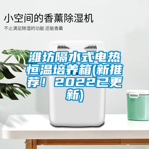 濰坊隔水式電熱恒溫培養(yǎng)箱(新推薦！2022已更新)