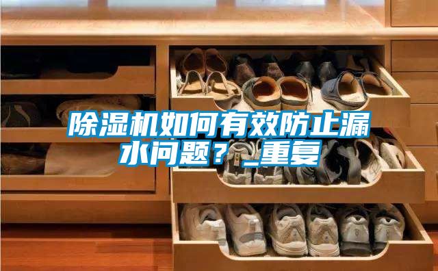 除濕機(jī)如何有效防止漏水問題？_重復(fù)