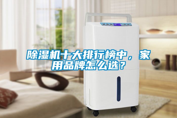 除濕機(jī)十大排行榜中，家用品牌怎么選？