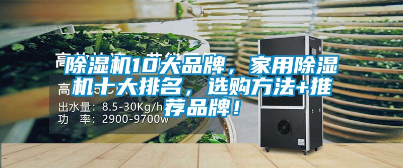 除濕機10大品牌，家用除濕機十大排名，選購方法+推薦品牌！