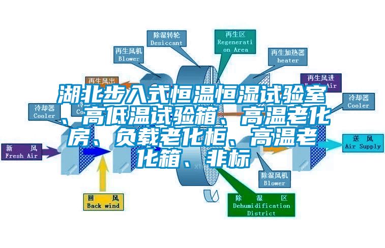 湖北步入式恒溫恒濕試驗室、高低溫試驗箱、高溫老化房、負載老化柜、高溫老化箱、非標