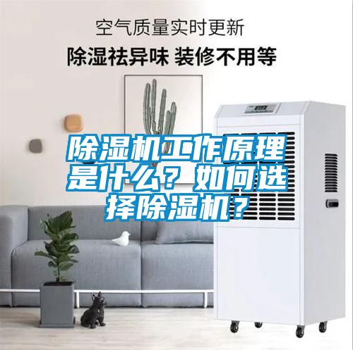 除濕機(jī)工作原理是什么？如何選擇除濕機(jī)？