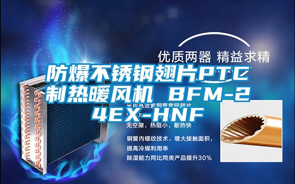 防爆不銹鋼翅片PTC制熱暖風(fēng)機(jī) BFM-24EX-HNF