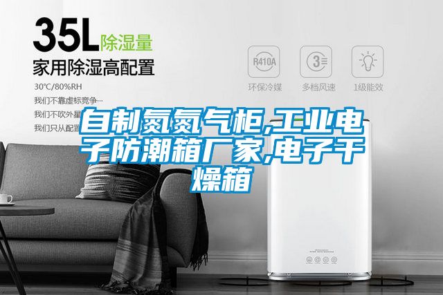 自制氮氮?dú)夤?工業(yè)電子防潮箱廠家,電子干燥箱